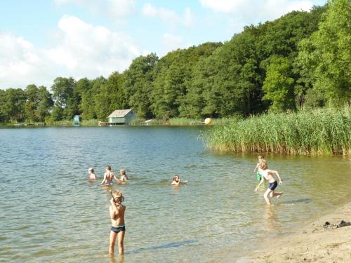 Dummer Apartment | Pet-Friendly Retreat at Ferienwohnung am Dümmer See