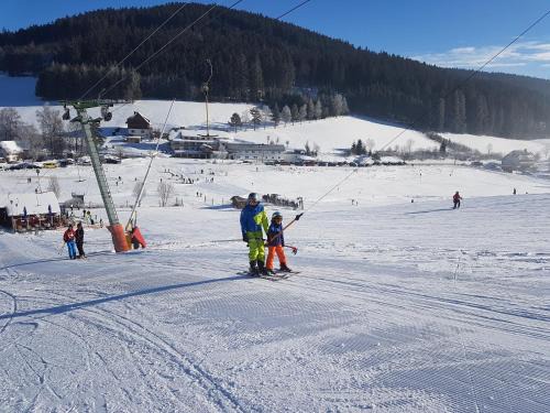 Waldau Apartment | Family-Friendly Ferienwohnung am Schneeberg with Pool & Ocean View