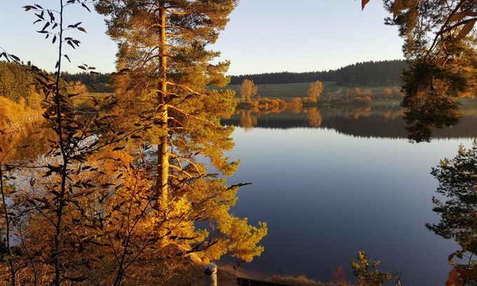 Unterbrand Apartment | Pet-Friendly Retreat at Ferienwohnung am Kirnbergsee