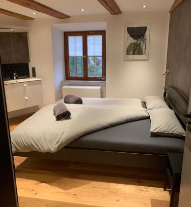 Ueberlingen Apartment | Oceanfront Escape at Ferienwohnung am Salmansweiler Hof