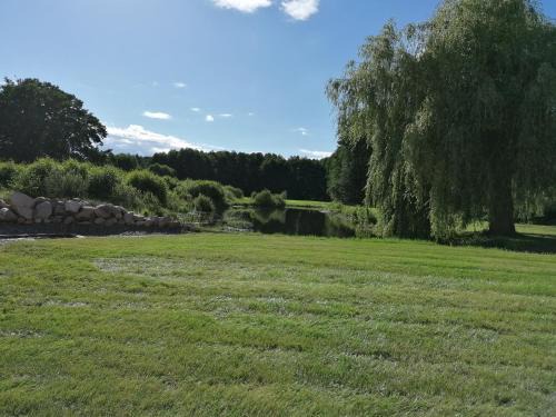 Wietzetze Apartment | Discover Ferienwohnung am Teich: Guest Rated 9.5/10!