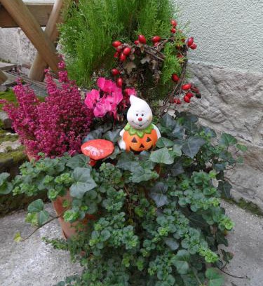 Bad Schandau Apartment | Pet-Friendly Retreat Near the Thermal Spa, Guest Rated 9.2