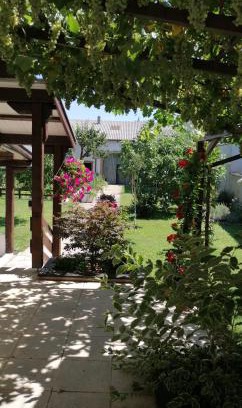 Sankt Andra am Zicksee Apartment | Oceanfront Retreat at Ferienwohnung Maks und Kris