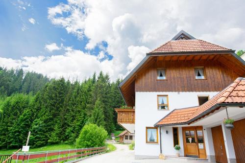 Schonach im Schwarzwald Apartment | Family-Friendly Getaway at Ferienwohnung Birgit
