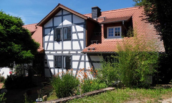 Brombachtal Apartment | Pet-Friendly Ferienwohnung Boellsteiner Hoehe with Top Reviews