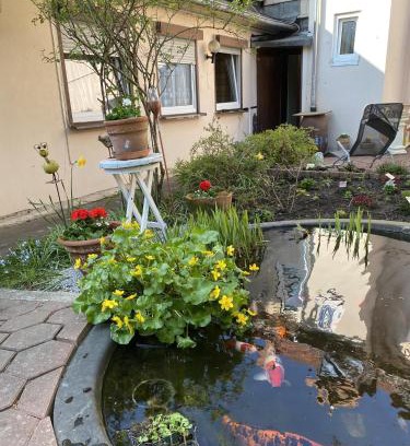Einbeck Apartment | Budget-Friendly Family Stay at Ferienwohnung Bongartz