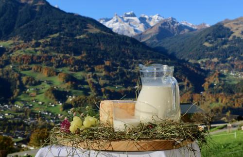 Bartholomaeberg Apartment | Top-Rated Ferienwohnung Därflihof: Family-Friendly Retreat