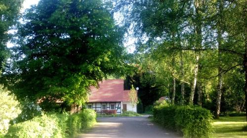 Erkerode Apartment | Oceanfront Retreat: Ferienwohnung Das Fuchsrevier Awaits