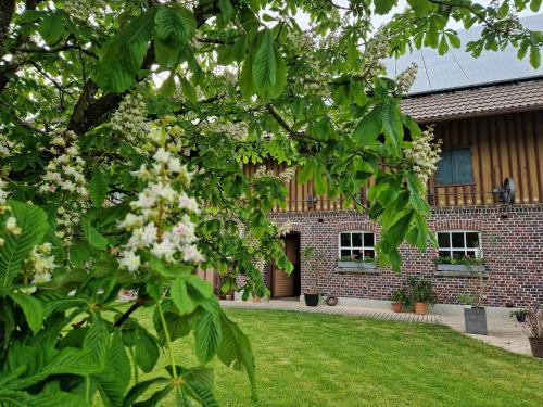 Herlazhofen Apartment | Child-Friendly Ferienwohnung Ewigkeit - Rated 9.8/10