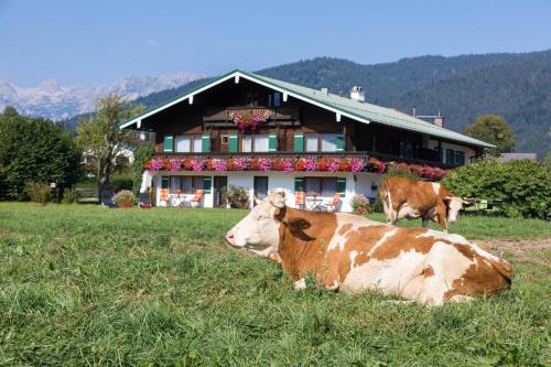 Oberschonau Apartment | Oceanfront Retreat at Ferienwohnung Drachllehen, Rated 8.9