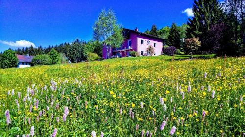 Neureichenau Apartment | Cozy Getaway for Two in Neureichenau, Bavarian Forest