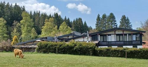 Forbach Apartment | Pet-Friendly Ferienwohnung GABI with Top Guest Ratings
