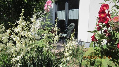 Diedrichshagen Apartment | Family-Friendly Ferienwohnung Gartenzimmer with Great Reviews