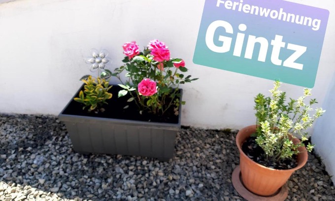 Blieskastel Apartment | Oceanfront Retreat: Ferienwohnung Haus Gintz, Rated 9.2/10