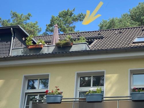 Dessau-Rosslau Apartment | Family-Friendly Ferienwohnung im Heidepark Retreat