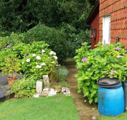 Stadthagen Apartment | Pet-Friendly Retreat at Ferienwohnung Im Waldwinkel