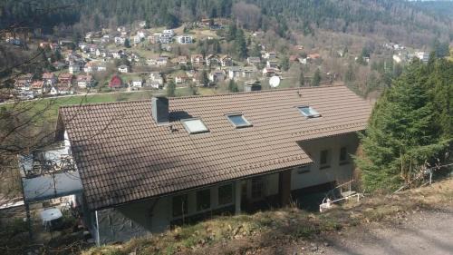 Bad Wildbad Apartment | Relaxing Forest Retreat with Pet-Friendly Amenities