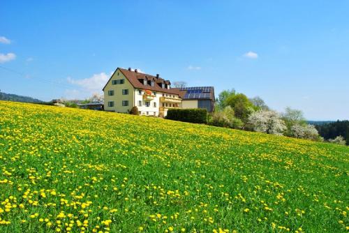 Friedenfels Apartment | Pet-Friendly Retreat: Ferienwohnung Kappauf / Petrik Awaits