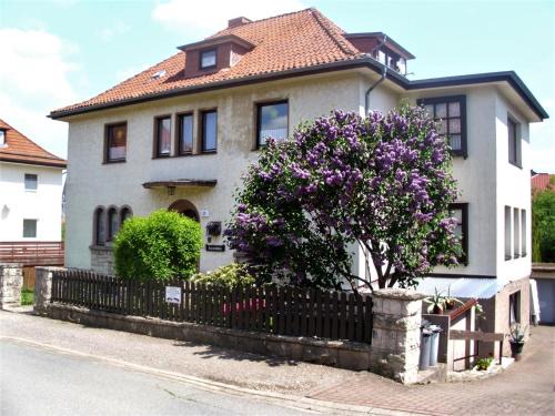 Bad Sachsa Apartment | Invite Your Furry Friends to Ferienwohnung Kroeschell