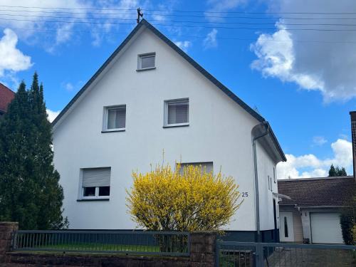 Lemberg Apartment | Top-Rated Ferienwohnung Löwenburg: Family & Pet Friendly