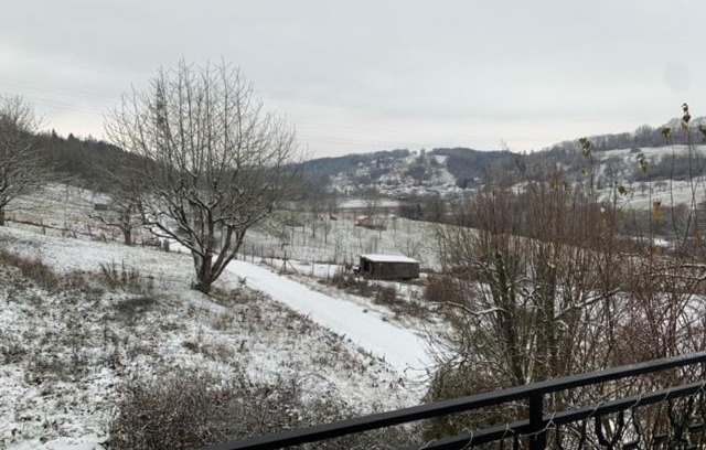 Huettlingen Apartment | Pet-Friendly Ferienwohnung Limes: Family Travel Awaits