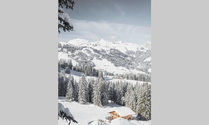 Saanenmoeser Apartment | Oceanfront Haven: Ferienwohnung Lochstafel with 10/10 Rating