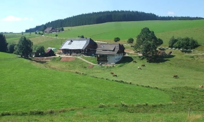 Furtwangen Apartment | Guest Rated: Ferienwohnung Lothar with Kitchen & Breakfast