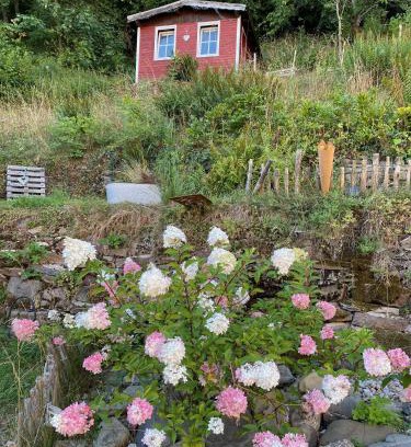 Bad Grund Apartment | Child-Friendly Ferienwohnung Matilde with Great Reviews