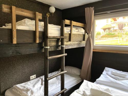 Todtnauberg Apartment | Pet-Friendly Ferienwohnung Michel 02 in Todtnauberg