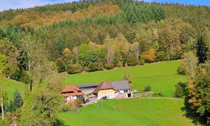 Wolfach Apartment | Spacious 3-Bedroom Apartment with Exceptional Guest Rating