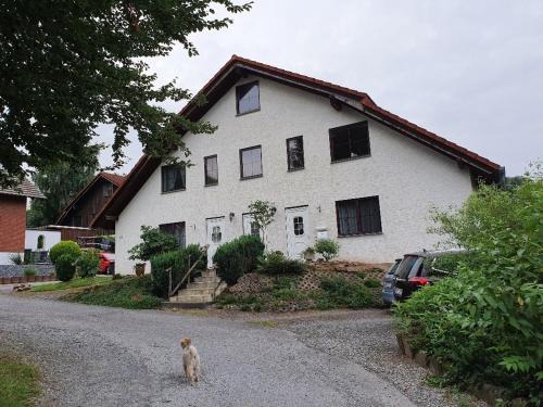 Lauenfoerde Apartment | Charming Oceanfront Getaway - Pet Friendly & Family Welcome