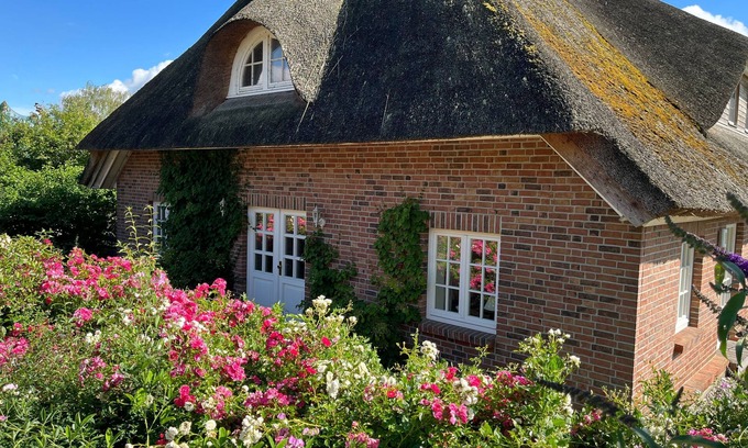 Wismar Apartment | Ocean View Getaway: Family-Friendly Retreat with Kitchen