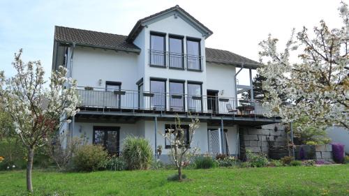 Bad Bellingen Apartment | Family-Friendly Ferienwohnung Rheingeschaut with Top Ratings