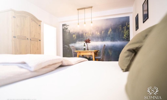 Gmunden Apartment | Top-Rated Ferienwohnung Somnia - Altstadt Gmunden Getaway