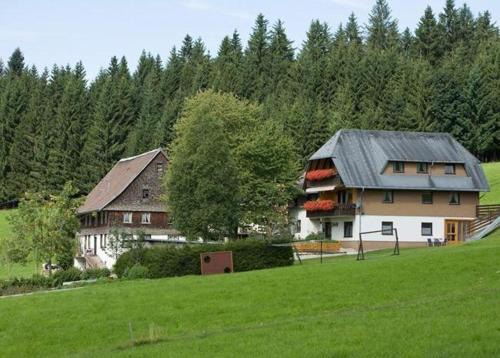 Titisee-Neustadt Apartment | Oceanfront Retreat at Ferienwohnung-Talblick for Families