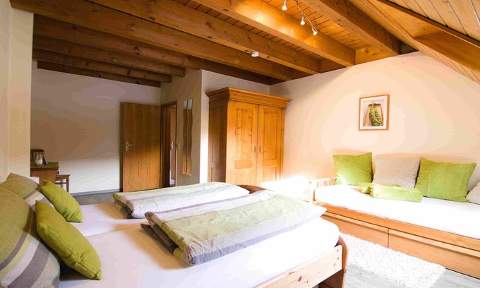 Seelbach Apartment | Cozy Ferienwohnung "Talblick" with Breakfast & Kitchen Access