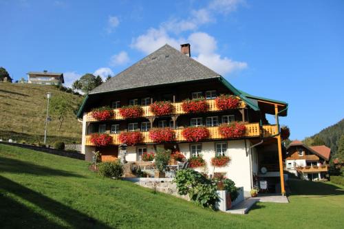 Todtmoos Apartment | Pet-Friendly Ferienwohnung Talblick with High Guest Ratings