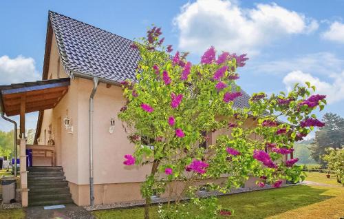 Torgelow-Hollanderei Apartment | Guest Rated 10/10: Family-Friendly Ferienwohnung Torgelow