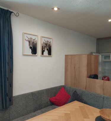 Galtur Apartment | Pet-Friendly Ferienwohnung Tramunt for Family Getaways