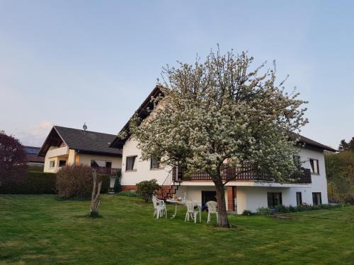 Wald Apartment | Oceanfront Retreat at Ferienwohnung-Wald: Guest Rated 9.6