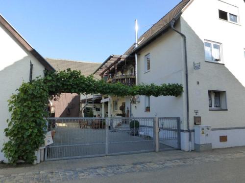 Brensbach Apartment | Pet-Friendly Getaway at Ferienwohnung Wendt - Book Now!