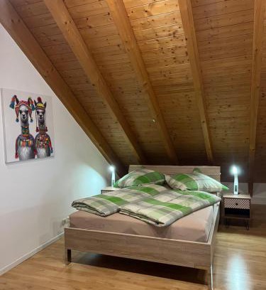 Loerrach Apartment | Discover KONUS Guest Card at Zentral Lörrach - Rated 9.4