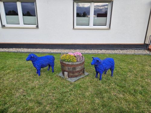 Rheinsberg Apartment | Family-Friendly Retreat at Ferienwohnung zu den Blauen Schafen