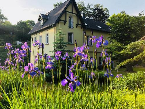 Siebenlehn Apartment | Family-Friendly Ferienwohnungen Siebenlehn by Freibad