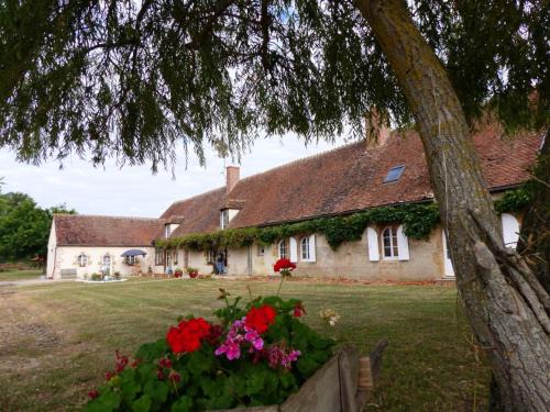Lurcy-Levis House | 19th Century Restored Farmhouse with Private Pond Near Lurcy