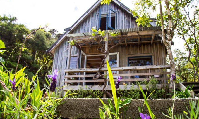 Coromandel Apartment | Exceptional Fern Lodge Coromandel with Ocean Views