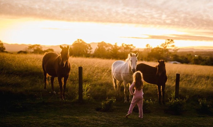 Rheenendal House | Discover Fernhill Guest Farm: Pet-Friendly Retreat with Kitchen