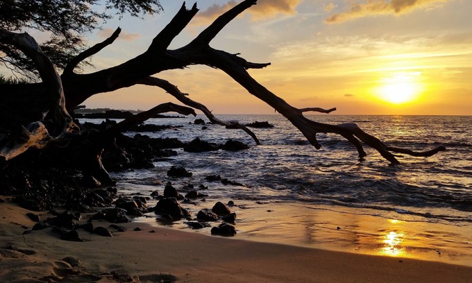 Royal Hawaiian Estates House | Guest Rated 10/10: Ferns & Frogs Forest Hale Retreat