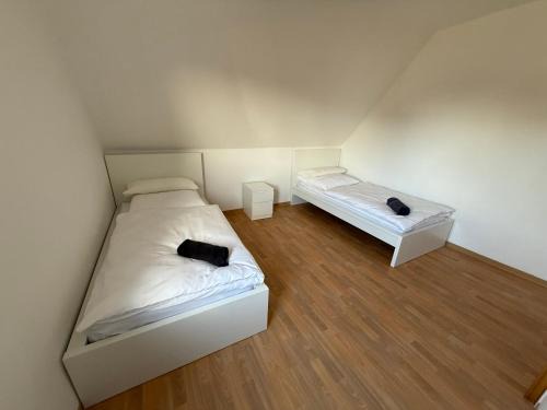 Salzbergen Apartment | FeWo 7P