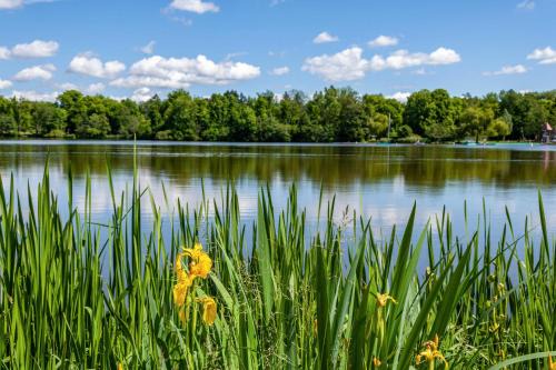 Bad Waldsee Apartment | Relax at Fewo am Stadtsee - Your Gateway to Bad Waldsee